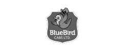 bluebird-greyscale